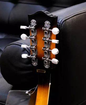 Gold Tone - GM-50+ A-Style Mandolin with Pickup 2